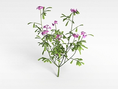现代佛龛 绿色景观花草