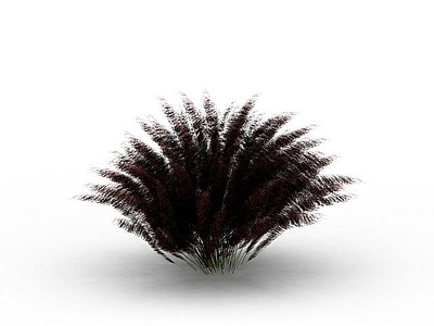 现代佛龛 絮状植物