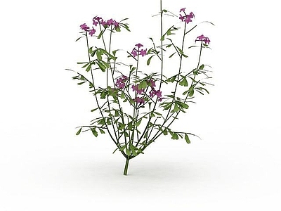 现代佛龛 紫色花株