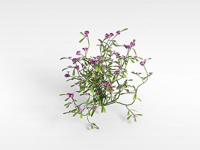 现代佛龛 紫色花草