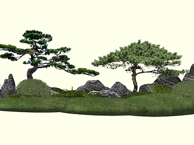 乔木 2D精品造型黑松 禅意松树 庭院松树 气质黑松 油松罗汉松