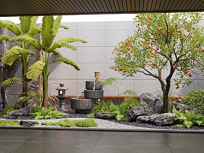现代室内景观 天井植物造景 柿子树 橘子树 芭蕉 植物景观