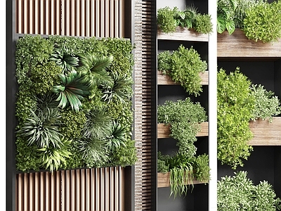 绿植墙