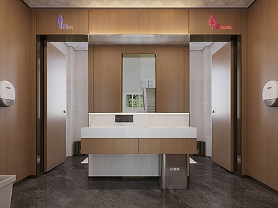 现代公共卫生间 公共卫生间 卫生间 卫生间工具