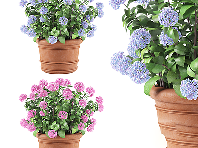 现代北欧花盆 绣球花 花盆