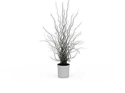 现代简易花盆陈设品