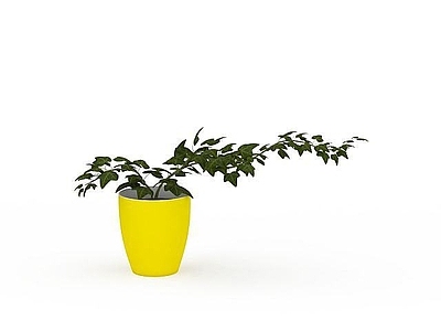 现代室内花盆摆件