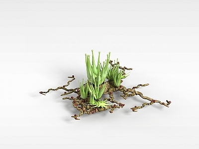 现代海底景观植物