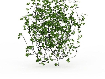 现代园林装饰藤蔓