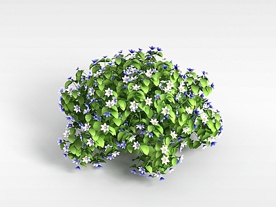 现代植物花草