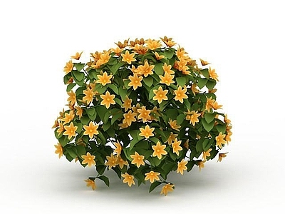 现代公园装饰花