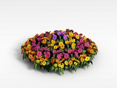 现代装饰花草