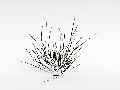 现代绿草