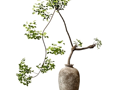 盆景 盆景盆栽 绿植摆件 植物盆栽 花艺摆件 陶罐花瓶