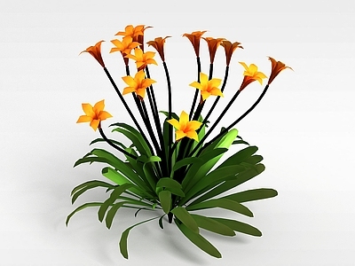 现代兰花