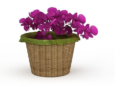 现代装饰插花