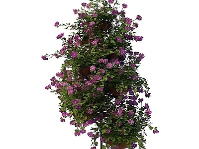 现代花架