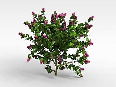现代办公桌 绿色植株