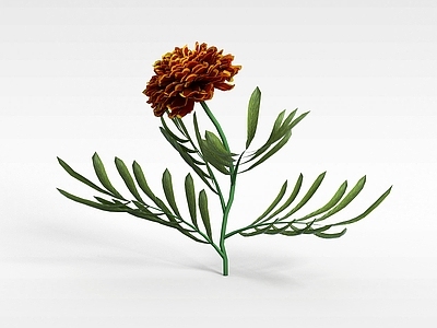 现代佛龛 花草