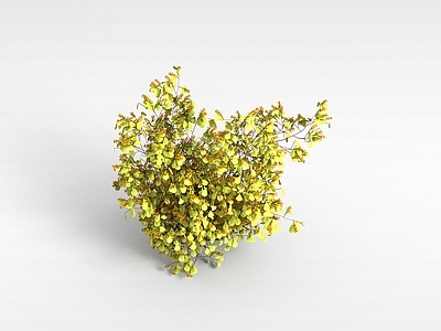 现代办公桌 桂花树