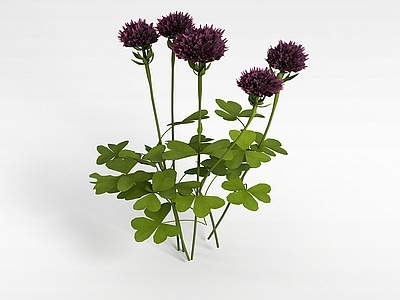 现代佛龛 紫色花株