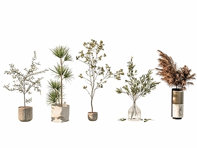 盆栽 办公室盆栽 绿植盆栽 麦穗枯枝摆件 花瓶绿植 绿植造景