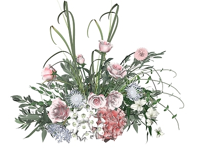 花草 鲜花 花束 手捧花
