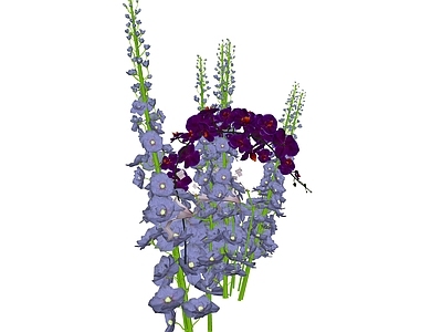 花草 花境 紫色花