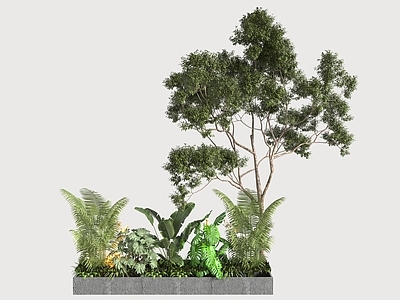植物组合 盆栽组合 树池植物组合 绿植花坛 庭院绿植景观 景观树