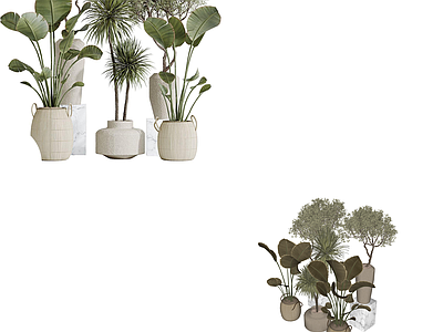 盆栽 盆栽 盆景 植物 绿植