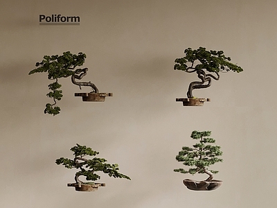 盆景 新中式盆景 迎客松
