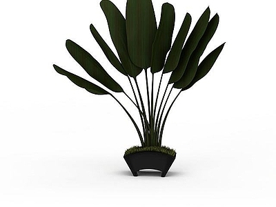 现代室内吊花