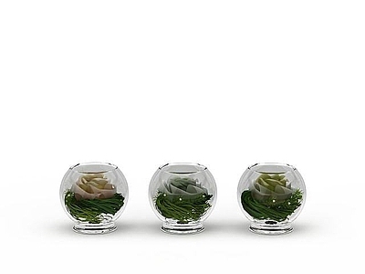 现代家庭水培花卉