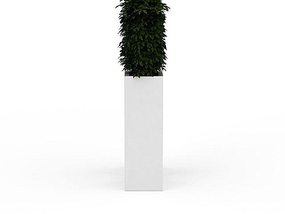 现代办公酒店植物