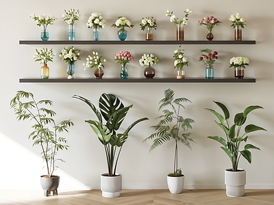 盆栽 盆栽 植物 绿植 花瓶