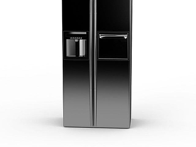 现代其他电器 大容量双开门冰箱