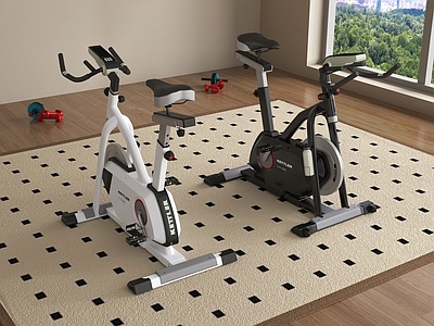 现代健身器材 动感单车 室内健身器材 现代健身器材