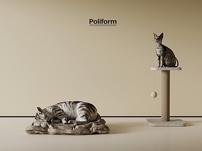 宠物用品 现代宠物 猫 猫爬架