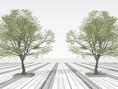 乔木 景观树 3D景观树 行道树 丛生乔木