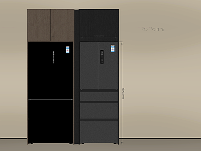 冰箱 现代冰箱 冰箱柜