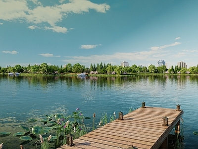 现代滨水景观 湿地公园 湖水 湖泊 荷花
