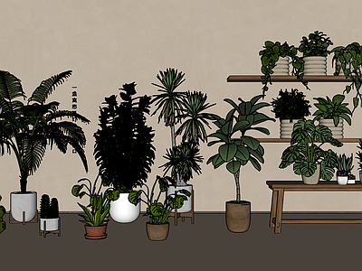 盆栽 绿植盆栽组合