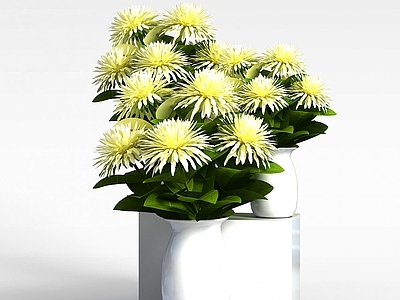 现代菊花花瓶