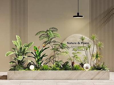 植物堆 室内景观 绿植组合 景观设计 庭院景观