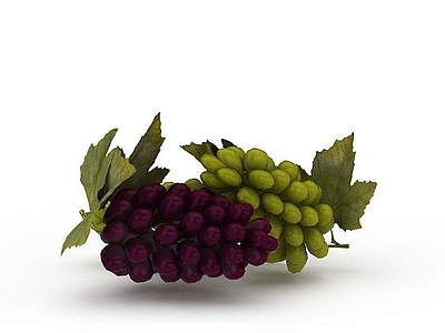 现代其他厨卫 提子葡萄