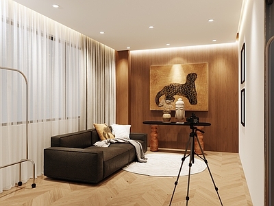 中古侘寂直播间 服饰带货直播间 皮质双人沙发 木质端景台 直播设备 装饰挂画