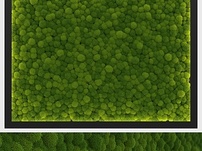 绿植墙 绿植墙 植物墙 苔藓