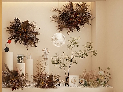 现代橱窗 美容院橱窗 干花造景