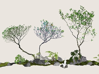 新中式其他景观小品 2D精品海岛春花 中式意境小景 杂木风庭院小品 庭院骨架小乔木 海岛栀子花