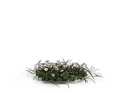 现代装饰花草